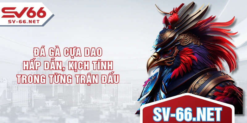 Đá Gà Cựa Dao - Hấp Dẫn, Kịch Tính Trong Từng Trận Đấu
