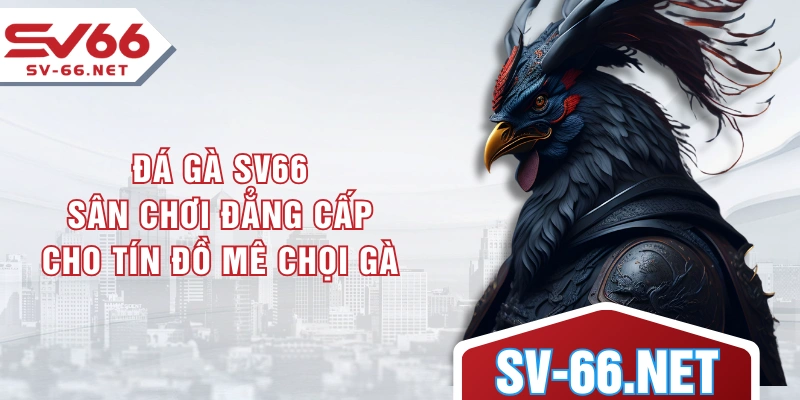 Đá Gà SV66 - Sân Chơi Đẳng Cấp Cho Tín Đồ Mê Chọi Gà