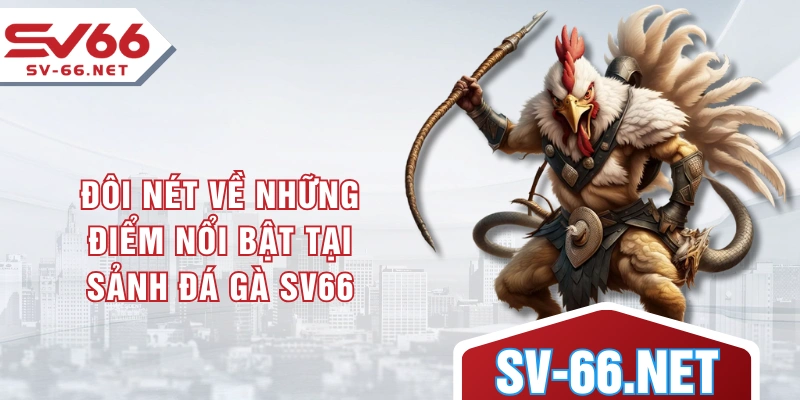 Đôi nét về những điểm nổi bật tại sảnh đá gà SV66