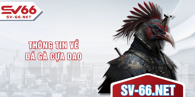 Thông tin về đá gà cựa dao